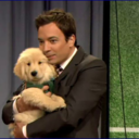 fallontine6b-blog avatar