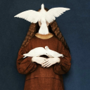 falloweddoves avatar