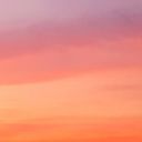 false-genius-alert avatar