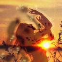 famiglia-lealta avatar