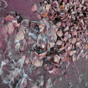 famous-and-dumb avatar