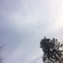 famousbissh00 avatar