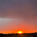 famousblizzardballoon avatar