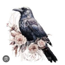 famousdreamalpaca avatar