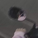 famouseggwombatstudent avatar