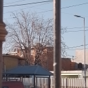 famousflapzonksports avatar