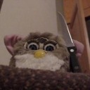 famousflowersfishshark avatar