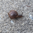 famouskidgoopmuffin avatar