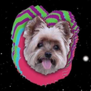 famouslastwhores avatar