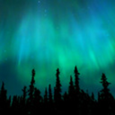 fancyillusions avatar