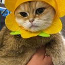 fancymuthatrukka avatar