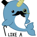 fancynarwhales avatar