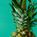 fancypineapplez avatar