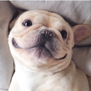 fancyschmancies avatar