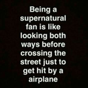 fandom-fanatic597 avatar