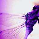 fandom-hoarder avatar