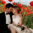 fandom-took-my-sanity avatar