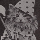 fandom-trash-6303 avatar