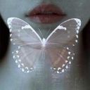 fandombouncer avatar