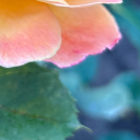 fandomfrenzyacc avatar