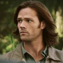 fandomiseveryth1ng avatar