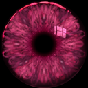 fandomnerdshark avatar