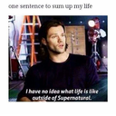 fandomobsessed313 avatar