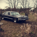 fandoms-stole-my-life avatar