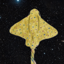 fandomsandflyingstingrays avatar