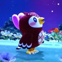 fandomsnfairylights avatar