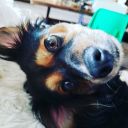 fandomtrashdadio avatar