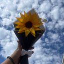 fandomtrashsblog avatar