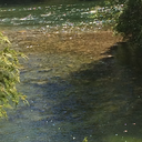 fandomwielder avatar