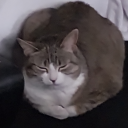 fanficcrakkith avatar