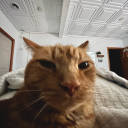 fanficfanatic13 avatar