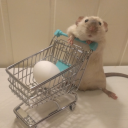 fanficsarchived avatar