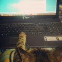 fanficsscarethelivingshitoutofme avatar