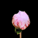 fanfictionrec avatar