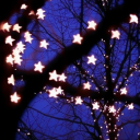 fanged-fanfics avatar