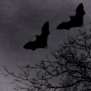 fangintheneck avatar