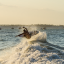 fangirl-bakery avatar