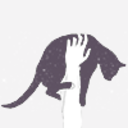 fangirl-is-my-middle-name avatar