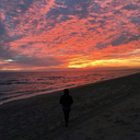 fangirlinganditswonders avatar