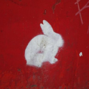 fangsonwhitefur avatar