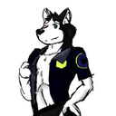 fangthehusky avatar