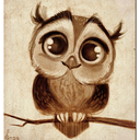 fanowlhead-blog avatar