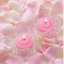 fanscinatingsexycelebrities avatar