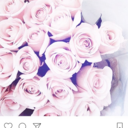 fantasmesdefemme avatar