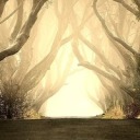 fantastic-flashback avatar