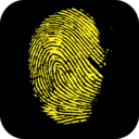 fantasticallyfactualforensics avatar